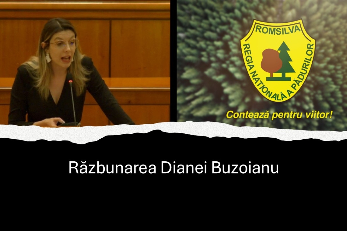 Cum se răzbună ”#rezista” Diana Buzoianu, după votul la moțiunea simplă împotriva sa