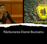 Cum se răzbună ”#rezista” Diana Buzoianu, după votul la moțiunea simplă împotriva sa