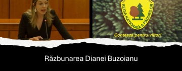 Cum se răzbună ”#rezista” Diana Buzoianu, după votul la moțiunea simplă împotriva sa