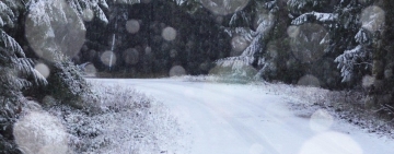 De Crăciun, Prahova se va afla sub Cod Galben: vânt puternic, ninsori viscolite și polei