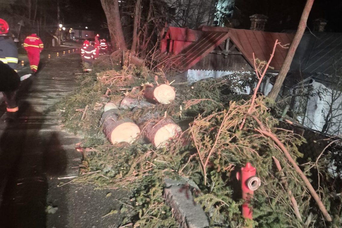 Sinaia | Vântul de 130 km/h a rupt zeci de copaci și doi stâlpi de electricitate