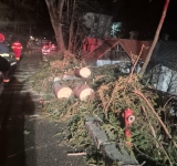 Sinaia | Vântul de 130 km/h a rupt zeci de copaci și doi stâlpi de electricitate