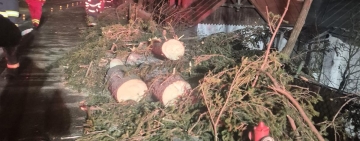 Sinaia | Vântul de 130 km/h a rupt zeci de copaci și doi stâlpi de electricitate