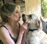 Brigitte Bardot, emblemă a cinematografiei franceze, s-a stins din viață, la vârsta de 91 de ani