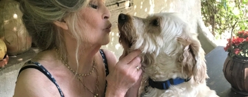 Brigitte Bardot, emblemă a cinematografiei franceze, s-a stins din viață, la vârsta de 91 de ani