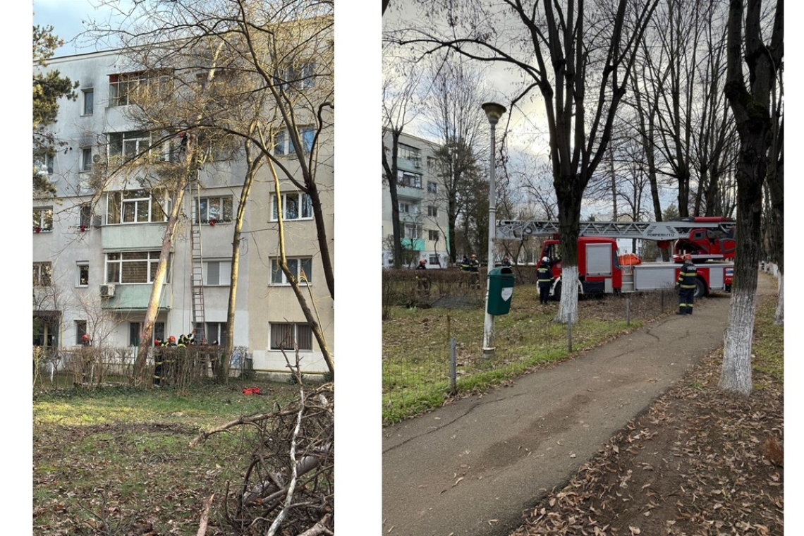 UPDATE | Un copac s-a rupt de la bază și a căzut pe un bloc din Ploiești. Pompierii intervin pentru tăierea acestuia