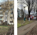 UPDATE | Un copac s-a rupt de la bază și a căzut pe un bloc din Ploiești. Pompierii intervin pentru tăierea acestuia