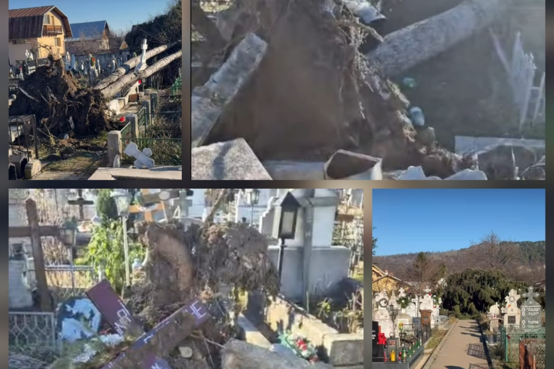 UPDATE/ Breaza | Morminte distruse de brazii smulși din rădăcini de vânt, într-unul dintre cimitirele din oraș