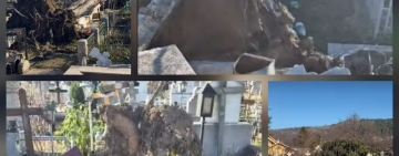 UPDATE/ Breaza | Morminte distruse de brazii smulși din rădăcini de vânt, într-unul dintre cimitirele din oraș