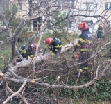 Cod roșu de vânt în Prahova | Zeci de intervenții ale pompierilor pentru îndepărtarea copacilor căzuți pe linii electrice sau pe garduri