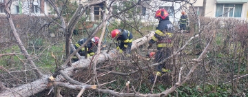 Cod roșu de vânt în Prahova | Zeci de intervenții ale pompierilor pentru îndepărtarea copacilor căzuți pe linii electrice sau pe garduri