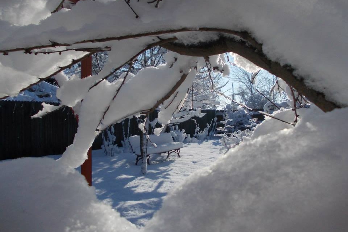 Ianuarie 2026 aduce iarna autentică în România: ger, ninsori și viscol