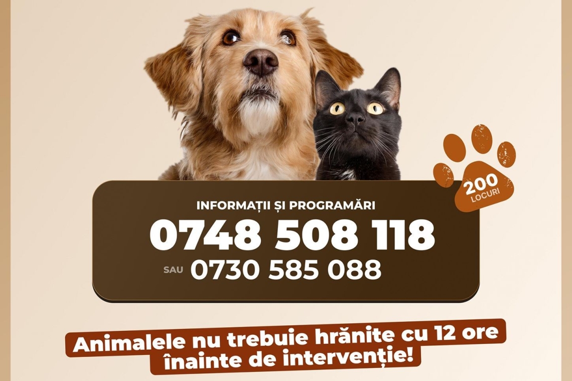 Campanie gratuită de sterilizare pentru câini și pisici, la Ploiești