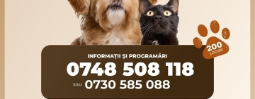 Campanie gratuită de sterilizare pentru câini și pisici, la Ploiești