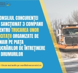 Consiliul Concurenței a amendat trei companii cu peste 8,2 milioane de lei pentru că ar fi trucat licitații organizate de CNAIR