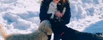 IPJ Prahova, apel la responsabilitate pentru protejarea animalelor în sezonul rece