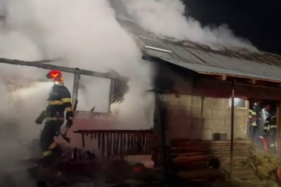 Saivan mistuit de flăcări, la Starchiojd. 150 de oi se aflau în interior, dar au fost scoase la timp