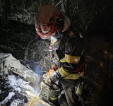 Drumul de acces spre cartierul Seciu din Boldești-Scăeni, blocat de cinci arbori căzuți. Pompierii au intervenit pentru eliberarea drumului