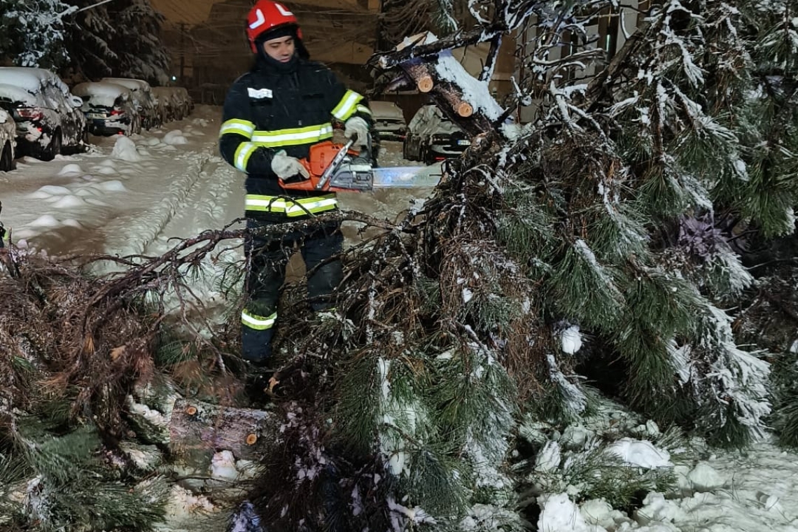 Zeci de intervenții ale pompierilor prahoveni, pentru copaci și stâlpi electrici rupți 
