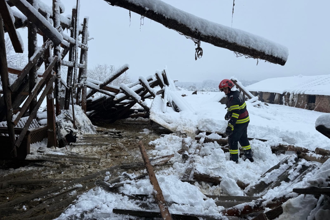 Puchenii Mari | Zeci de oi au murit, dar alte sute au fost salvate de pompieri, după prăbușirea acoperișului unui saivan din Pietroșani