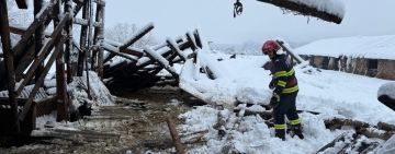 Acoperișul unui adăpost de animale s-a prăbușit peste oile și caprele din interior, din cauza greutății zăpezii, în Puchenii Mari