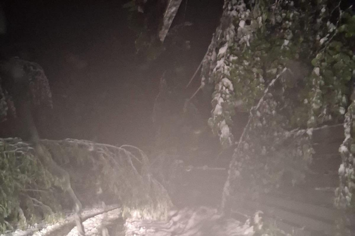 UPDATE | Mii de prahoveni au rămas fără curent, din cauza căderilor de zăpadă