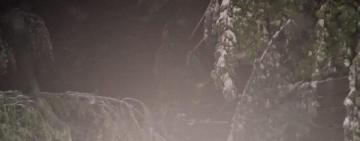 UPDATE | Mii de prahoveni au rămas fără curent, din cauza căderilor de zăpadă