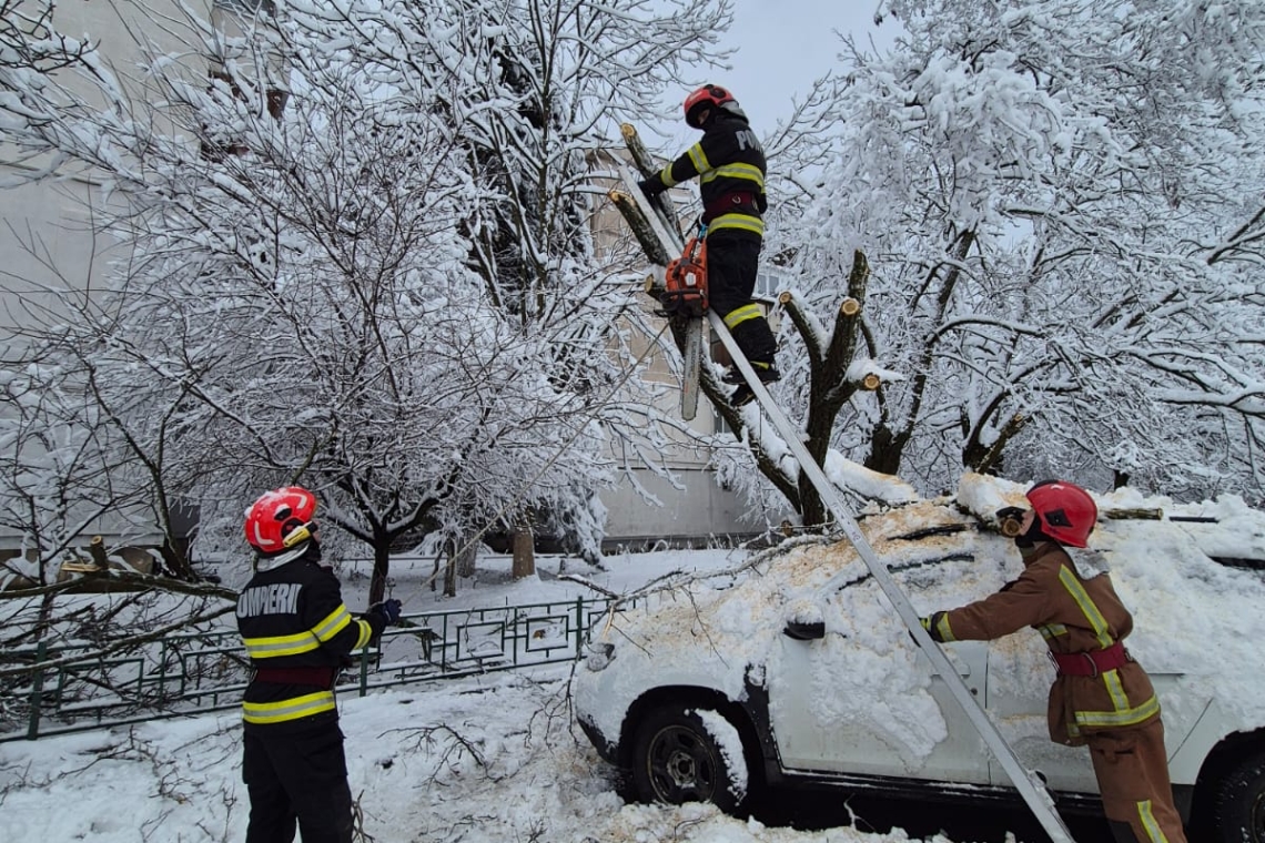 Ploieștenii, cei mai afectați de ninsoare: zeci de autoturisme avariate de copacii și stâlpii prăbușiți