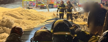 Zeci de animale au murit, la Vadu Părului, după ce acoperișul adăpostului s-a prăbușit sub greutatea zăpezii 