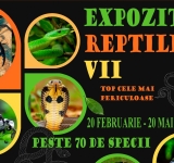 Peste 70 de specii exotice în expoziția „Reptile vii”, la Muzeul Județean de Științele Naturii Prahova