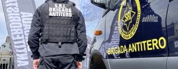 SRI lansează un nou proiect pentru prevenirea radicalizării în rândul tinerilor. Profesorii, învățați să identifice elevii atrași de extremism