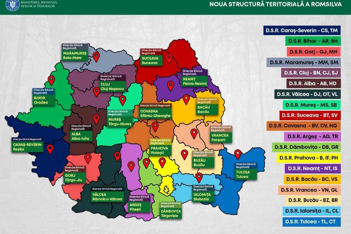 Guvernul a aprobat reorganizarea Romsilva. La Ploiești va funcționa Direcția Regională Prahova