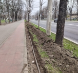 SGU Ploiești a demarat lucrări pentru un sistem de irigații pe Bulevardul Castanilor