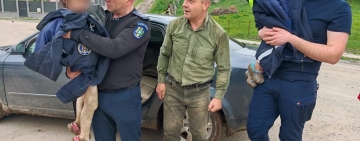 Un pădurar din Mureș le-a găsit pe cele două fetițe dispărute din Târnăveni