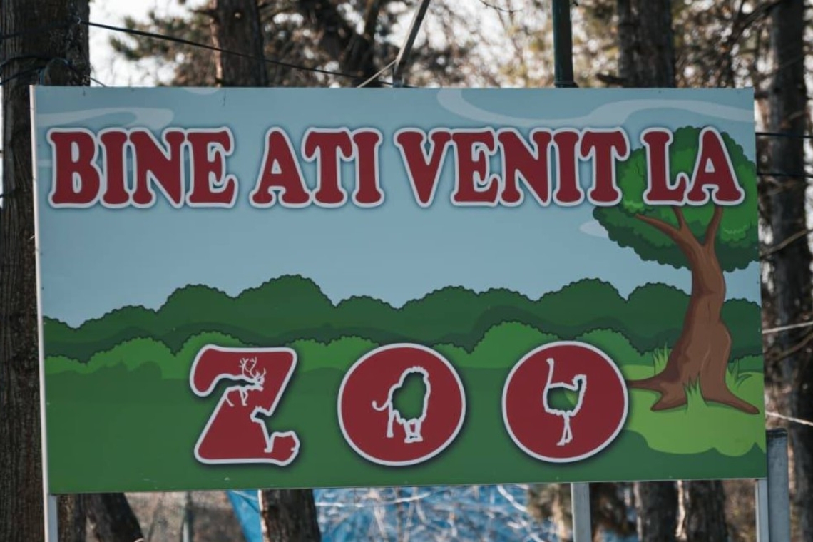 Din luna mai, Grădina Zoologică de la Bucov va fi închisă lunea. Ce evenimente vor fi în acest weekend