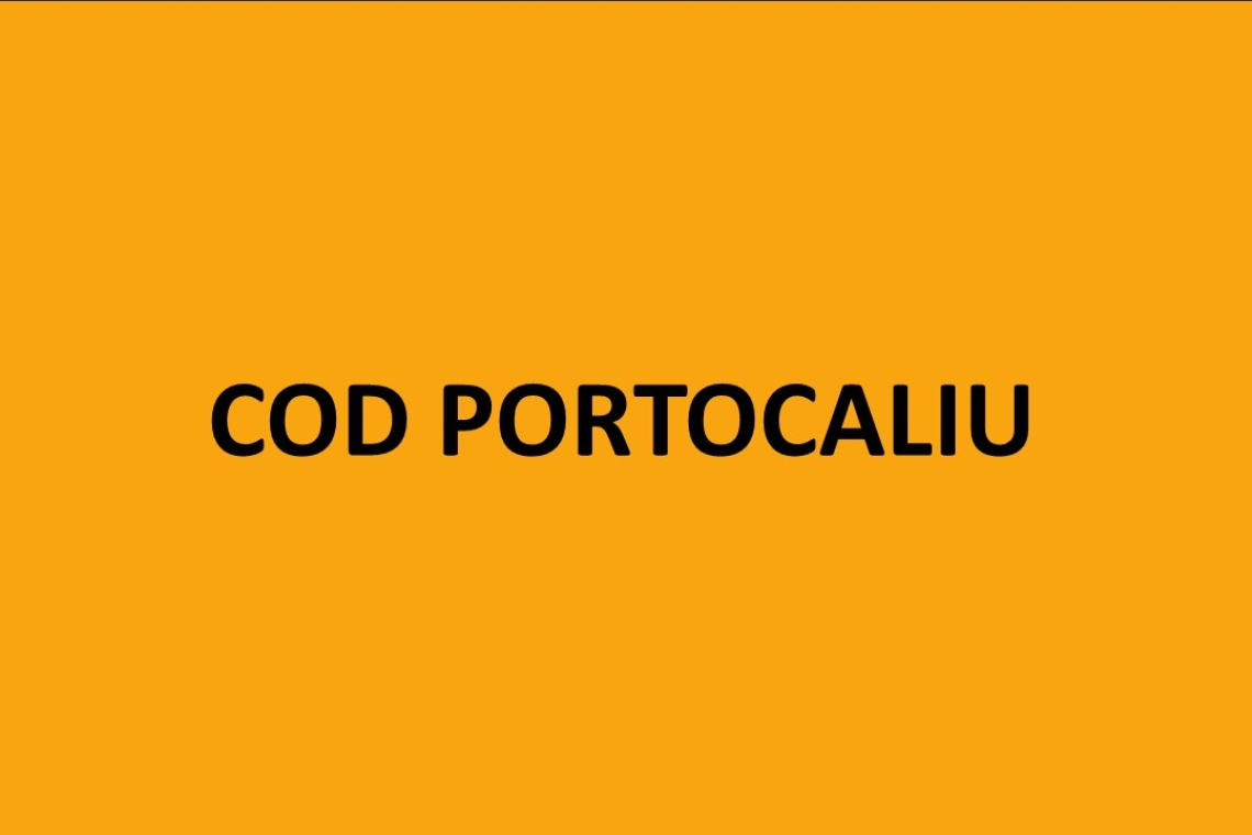 Cod portocaliu de ploi torențiale și vijelii, în șase localități prahovene