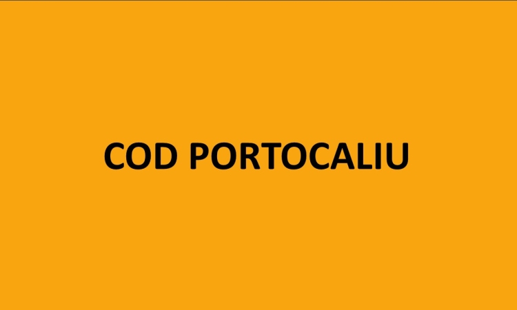 Cod portocaliu de ploi torențiale și vijelii, în șase localități prahovene
