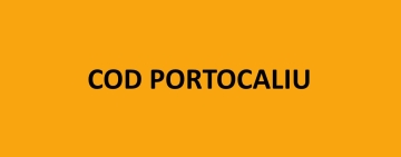 Cod portocaliu de ploi torențiale și vijelii, în șase localități prahovene