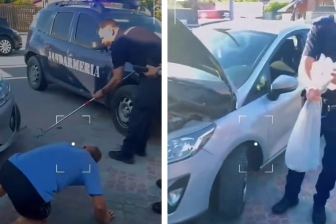 Șarpe la motorul unei mașini, în Podenii Noi! Jandarmii au intervenit pentru capturarea reptilei