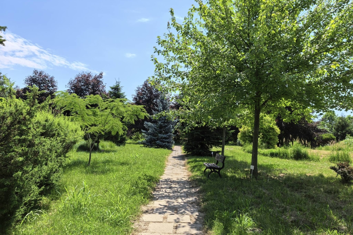 Grădina Botanică Bucov – o oază de natură la câțiva pași de Ploiești
