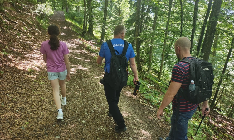Doi turiști au fost însoțiți de jandarmii montani după ce s-au întâlnit cu o ursoaică și cei doi pui ai săi, în Munții Ciucaș