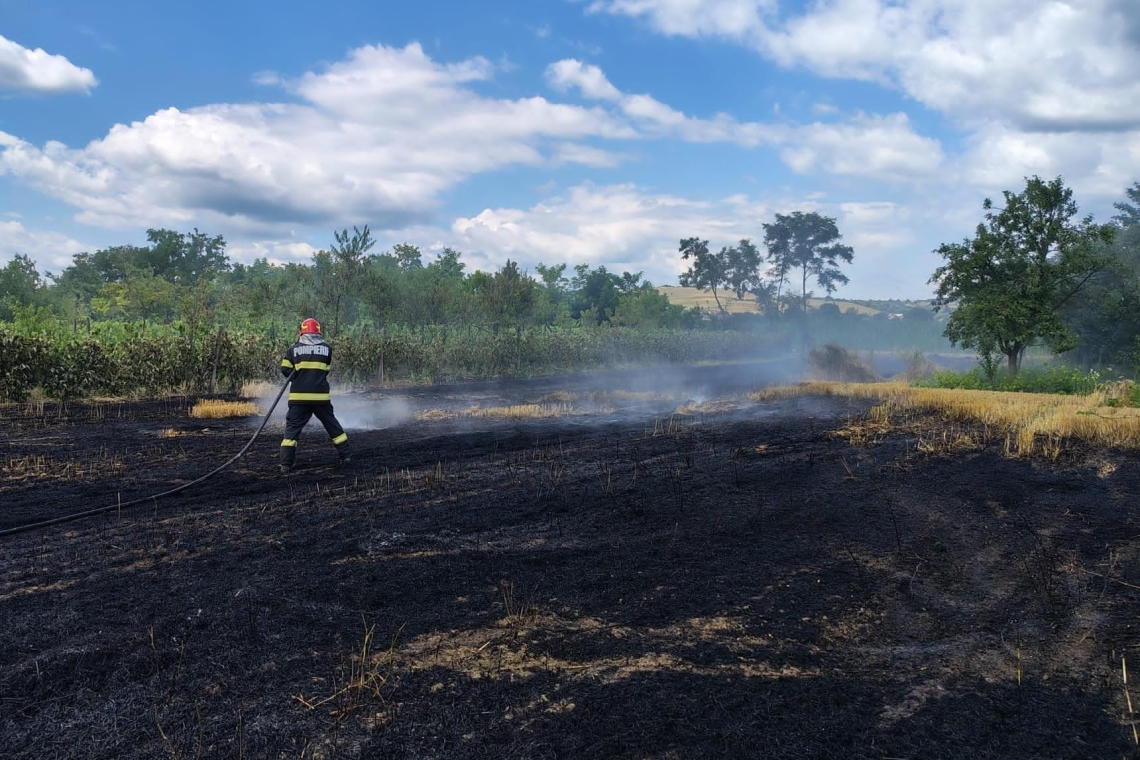 Incendii de vegetație în Dumbrava și Pleașa. Pompierii au intervenit cu mai multe autospeciale pentru stingerea flăcărilor