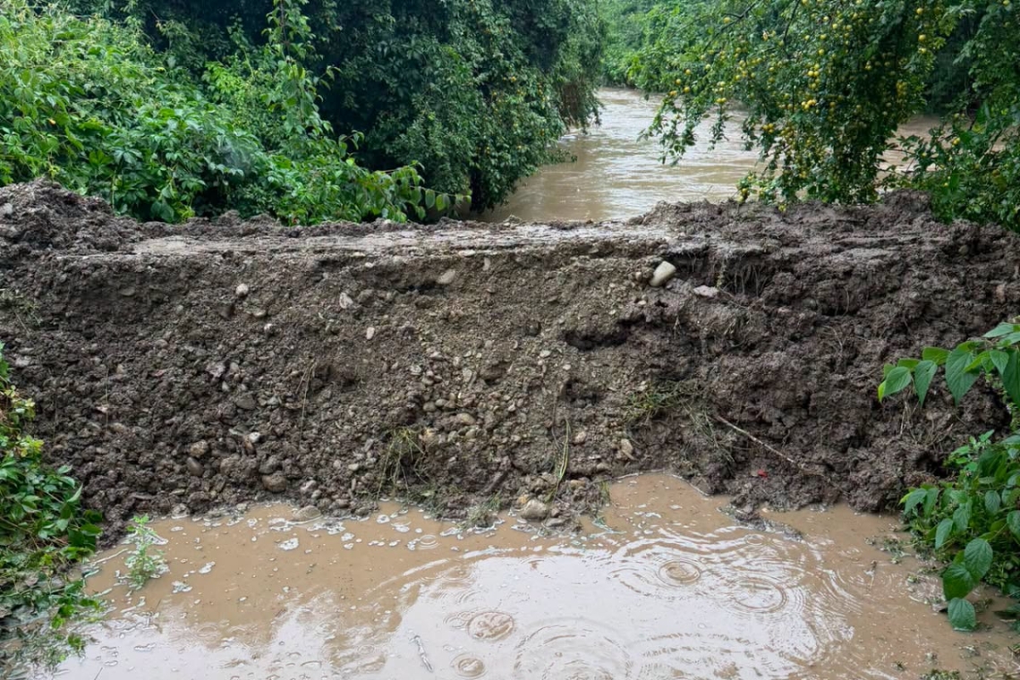 Intervenții SGU Ploiești pe albia pârâului Dâmbu, pentru degajarea vegetației și lucrări de taluzare