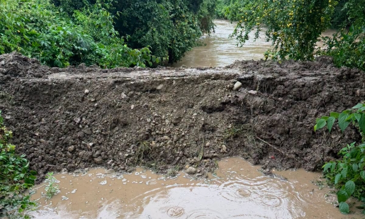 Intervenții SGU Ploiești pe albia pârâului Dâmbu, pentru degajarea vegetației și lucrări de taluzare