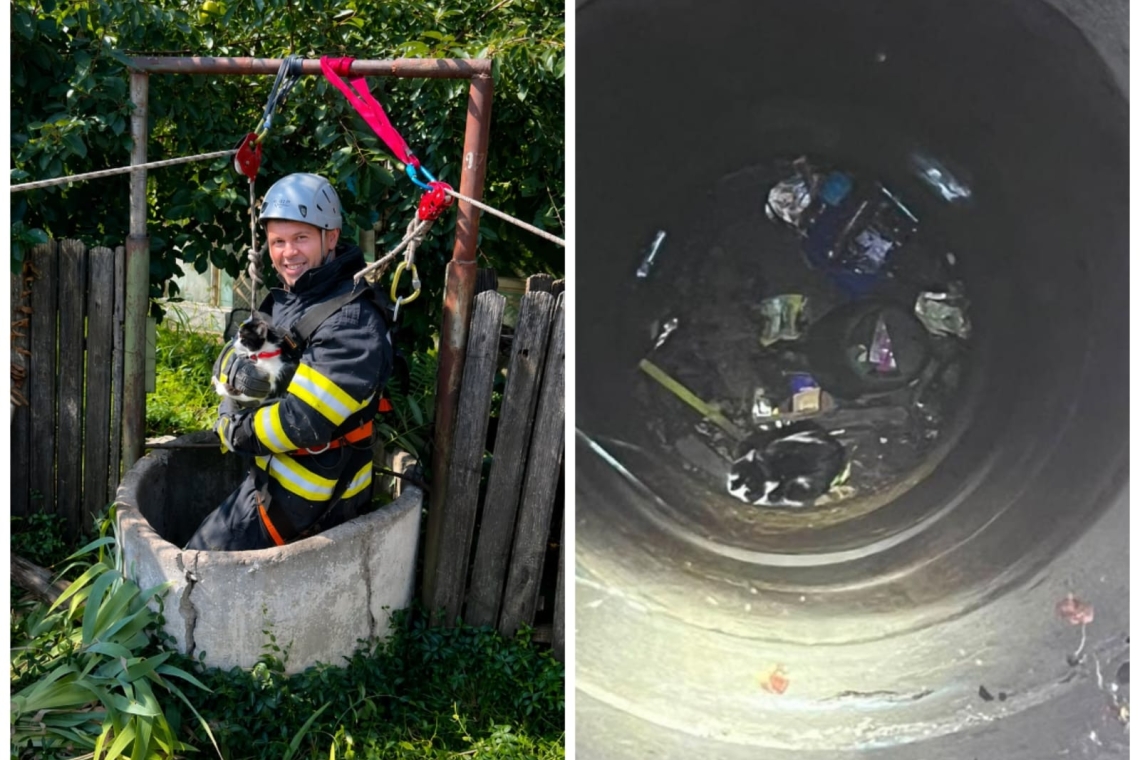 Final fericit la Perșunari. O pisică salvată de pompierii prahoveni după ce a rămas captivă la 15 metri adâncime într-o fântână