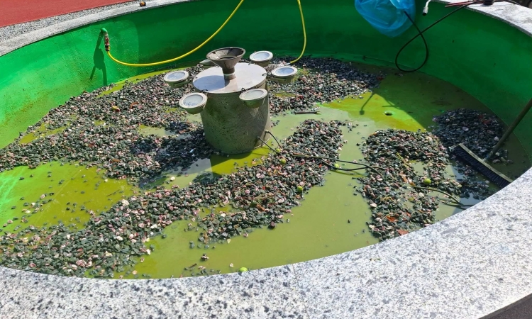La doar o lună de la inaugurare, fântâna arteziană din Parcul Modern Vest, vandalizată. Apelul SGU Ploiești