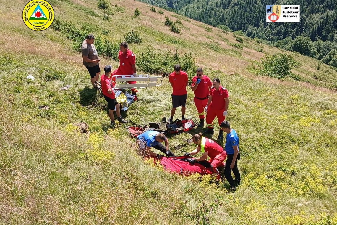 Un bărbat a murit în timp ce se afla la cules de afine, în munții Grohotiș