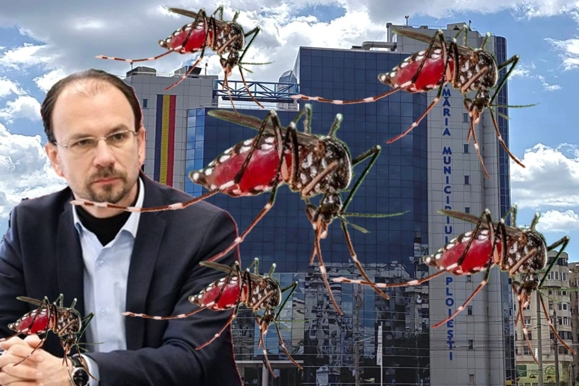 Ploieștiul, plin-ochi de țânțari! Pericolul nu este doar disconfortul, țânțarii pot transmite virusul West Nile