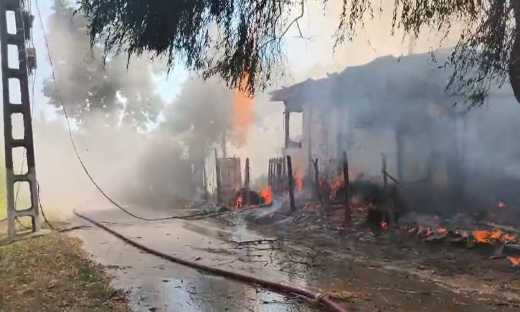 Incendiu în Valea Călugărească. O casă a fost cuprinsă de flăcări, iar pompierii intervin cu trei autospeciale de stingere