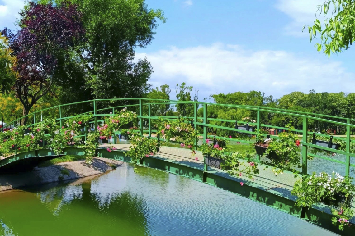 Schimbări importante în parcul de la Sala Sporturilor din Ploiești. SGU a început o amplă transformare a spațiilor verzi și de relaxare